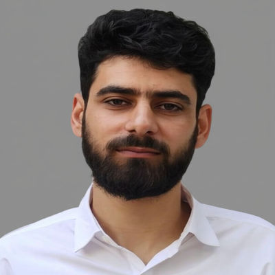 Wahid Mushtaq, CRM/ERP Consultant